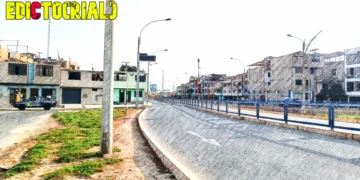 Lo bueno, lo malo, lo feo y lo más NALL del 2023