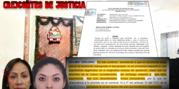 Octavo Juzgado Contencioso-Administrativo de Lima como sucursal del Poder Ejecutivo