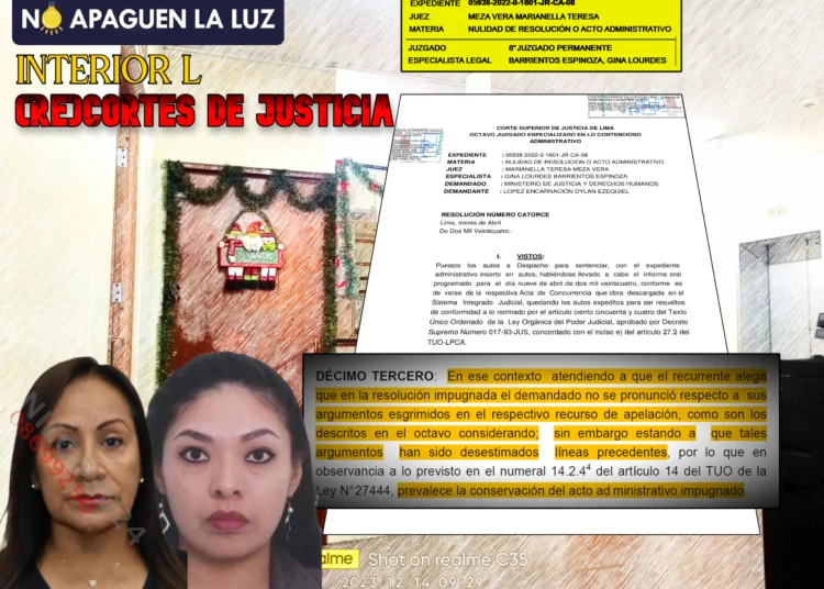 Octavo Juzgado Contencioso-Administrativo de Lima como sucursal del Poder Ejecutivo