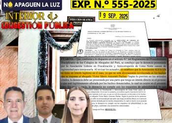 ¿“Otorongo no come otorongo” en la Dirección de Ética del Colegio de Abogados de Lima?