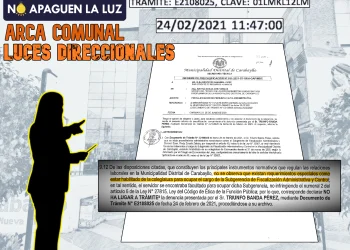Estar habilitado en el colegio profesional: ¿requisito para ejercer cargo público?