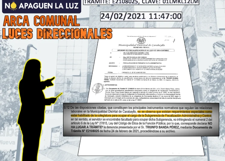 Estar habilitado en el colegio profesional: ¿requisito para ejercer cargo público?