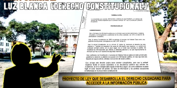 Los proyectos de ley que crearon la Ley de Transparencia y Acceso a la Información Pública